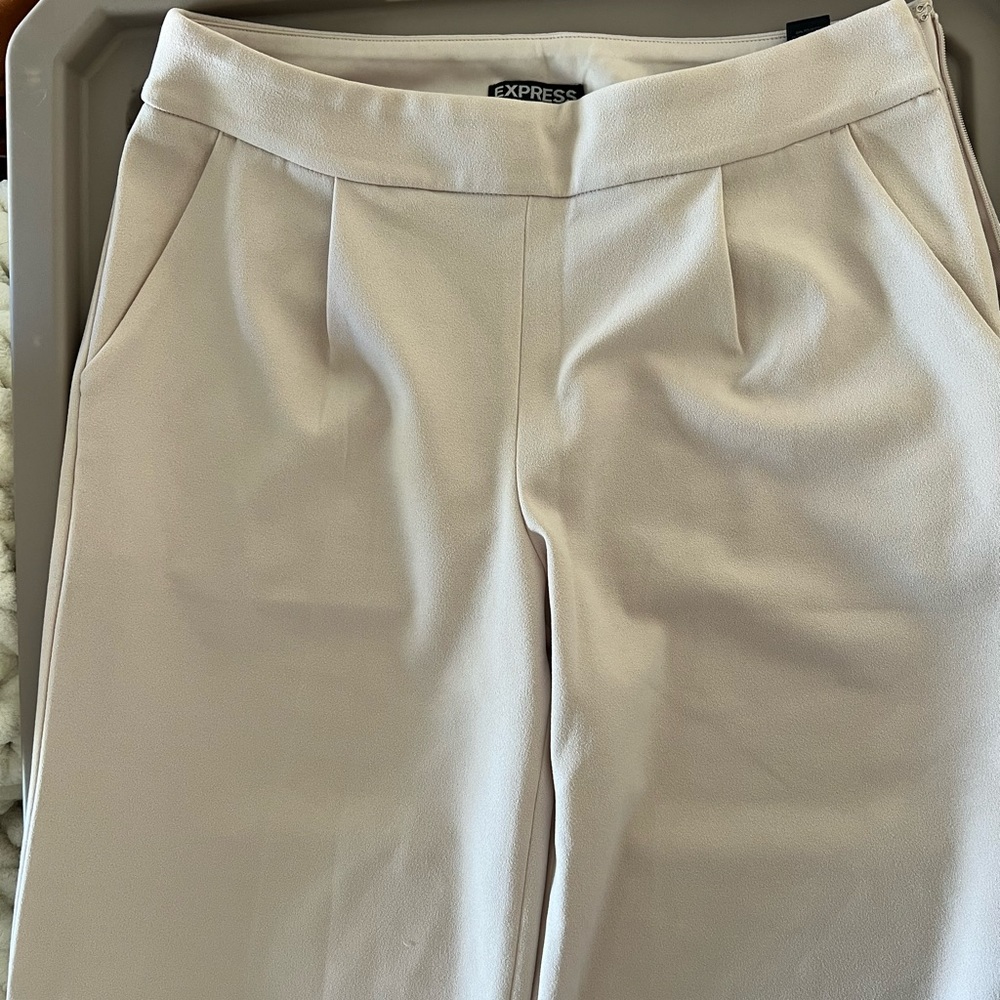Soft Pink Express Dress Slacks